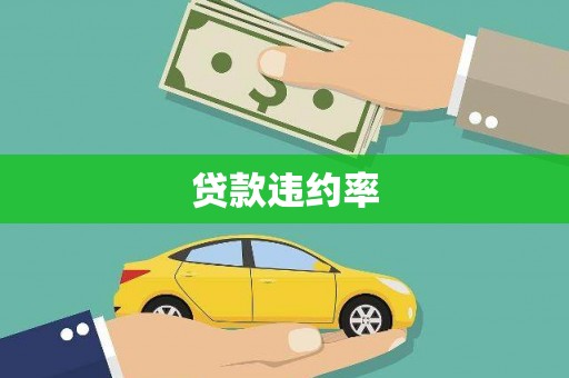大林贷款违约率