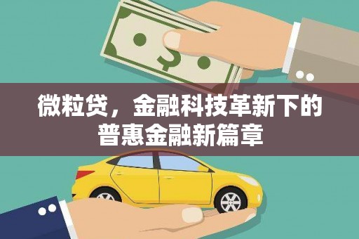 大林微粒贷，金融科技革新下的普惠金融新篇章