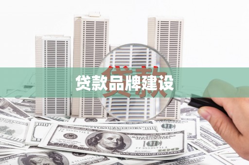 大林贷款品牌建设