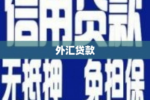 大林外汇贷款