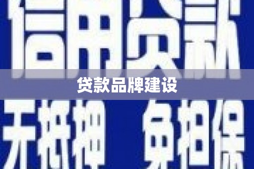 大林贷款品牌建设
