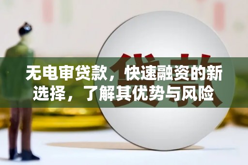 大林无电审贷款，快速融资的新选择，了解其优势与风险