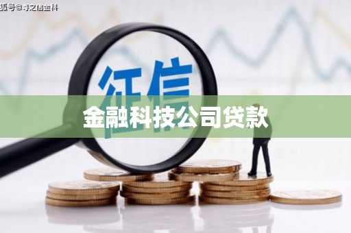 大林金融科技公司贷款