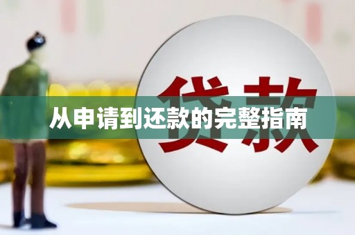 大林从申请到还款的完整指南