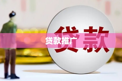 大林贷款推广