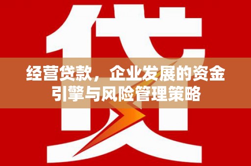 大林经营贷款，企业发展的资金引擎与风险管理策略