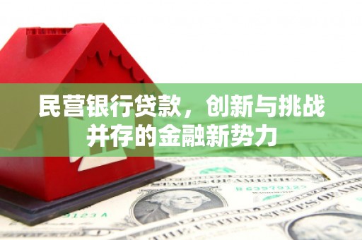 大林民营银行贷款，创新与挑战并存的金融新势力