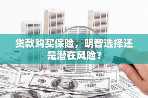 大林贷款购买保险，明智选择还是潜在风险？