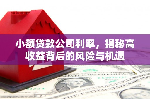 大林小额贷款公司利率，揭秘高收益背后的风险与机遇