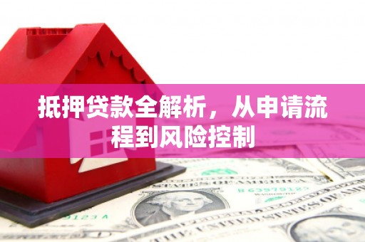 大林抵押贷款全解析，从申请流程到风险控制