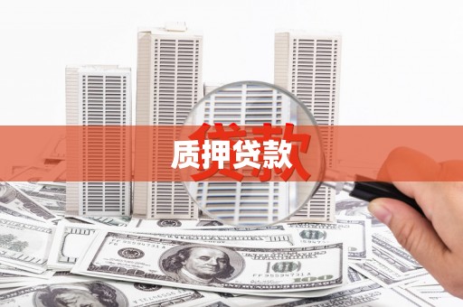 大林质押贷款