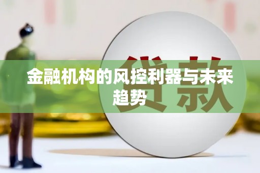 大林金融机构的风控利器与未来趋势