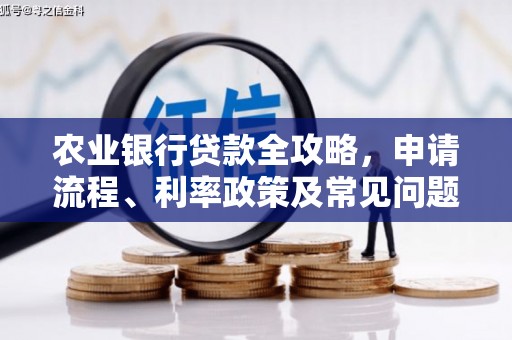 大林农业银行贷款全攻略，申请流程、利率政策及常见问题解析