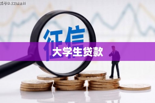 大林大学生贷款