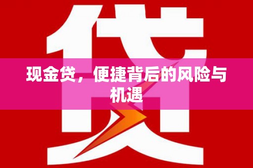 大林现金贷，便捷背后的风险与机遇