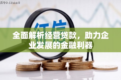 大林全面解析经营贷款，助力企业发展的金融利器