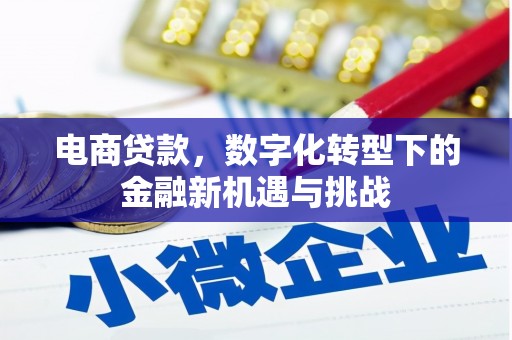 大林电商贷款，数字化转型下的金融新机遇与挑战