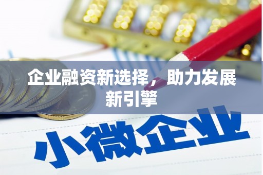 大林企业融资新选择，助力发展新引擎