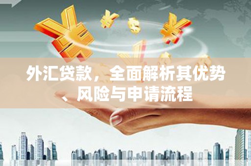 大林外汇贷款，全面解析其优势、风险与申请流程