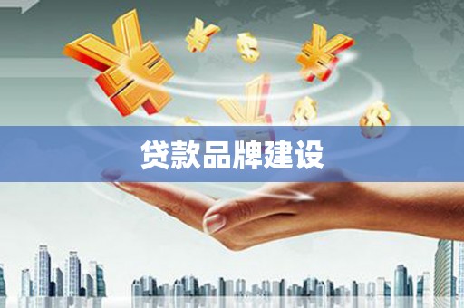 大林贷款品牌建设