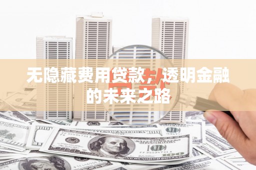 大林无隐藏费用贷款，透明金融的未来之路