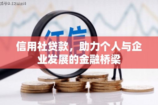 大林信用社贷款，助力个人与企业发展的金融桥梁