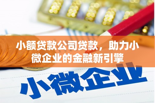 大林小额贷款公司贷款，助力小微企业的金融新引擎