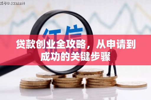 大林贷款创业全攻略，从申请到成功的关键步骤