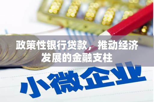 大林政策性银行贷款，推动经济发展的金融支柱