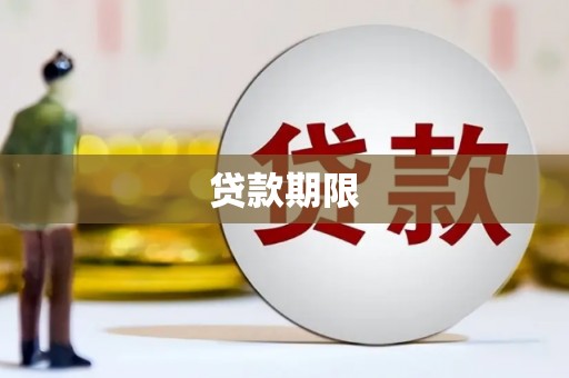 大林贷款期限