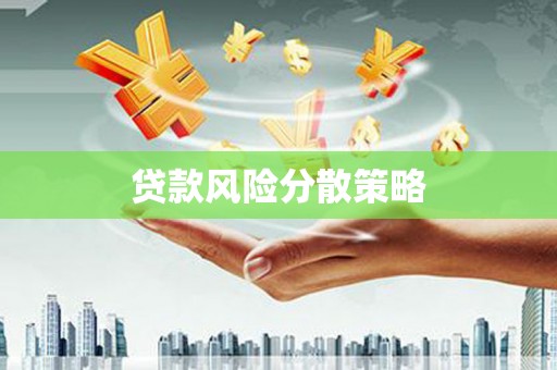 大林贷款风险分散策略