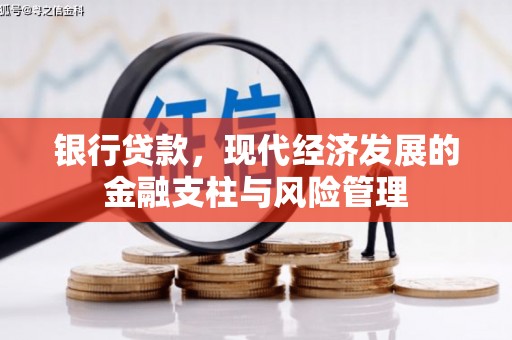 大林银行贷款，现代经济发展的金融支柱与风险管理