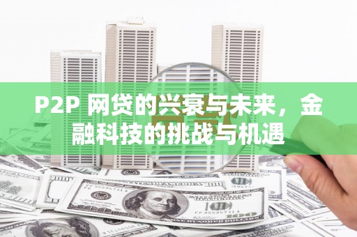 大林P2P 网贷的兴衰与未来，金融科技的挑战与机遇