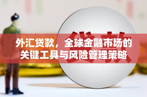 大林外汇贷款，全球金融市场的关键工具与风险管理策略