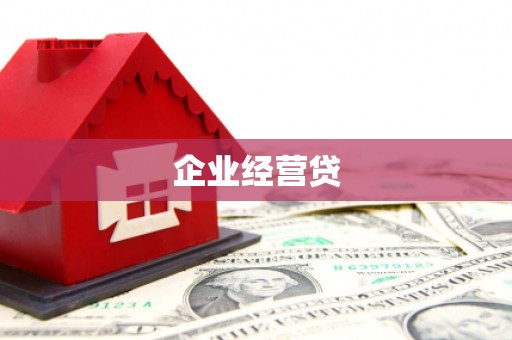 大林企业经营贷