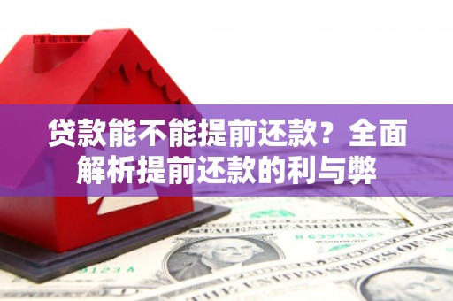 大林贷款能不能提前还款？全面解析提前还款的利与弊