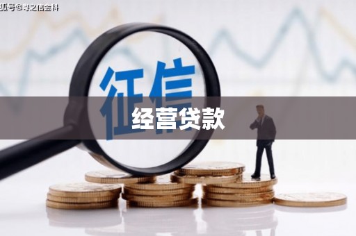大林经营贷款