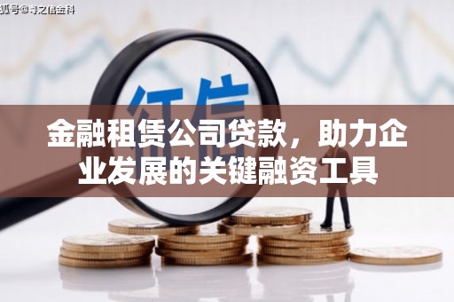 大林金融租赁公司贷款，助力企业发展的关键融资工具