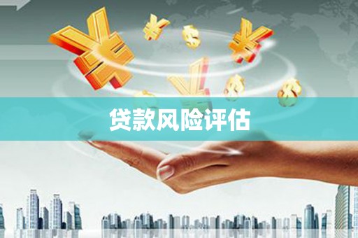大林贷款风险评估
