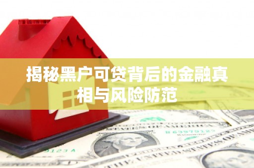 大林揭秘黑户可贷背后的金融真相与风险防范