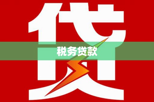 大林税务贷款