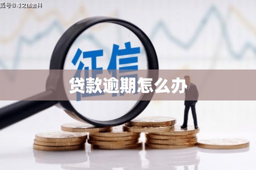 大林贷款逾期怎么办
