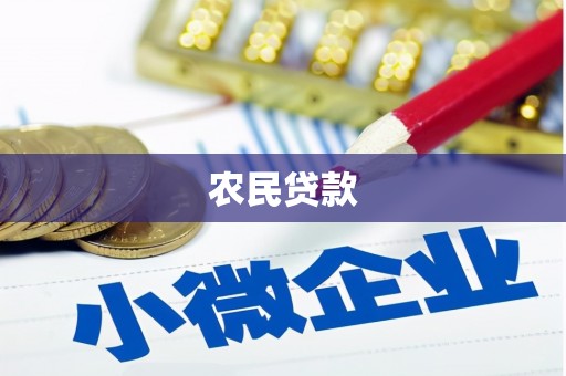 大林农民贷款