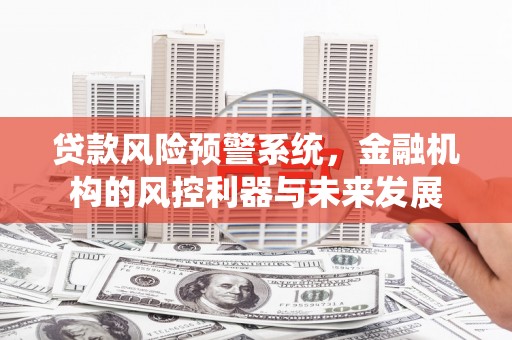 大林贷款风险预警系统，金融机构的风控利器与未来发展