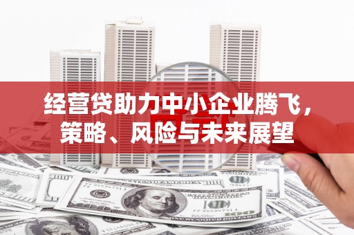 大林经营贷助力中小企业腾飞，策略、风险与未来展望