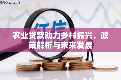 大林农业贷款助力乡村振兴，政策解析与未来发展