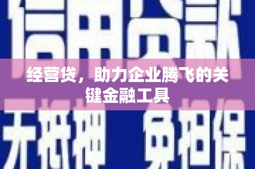 大林经营贷，助力企业腾飞的关键金融工具