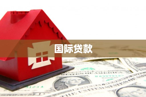 大林国际贷款