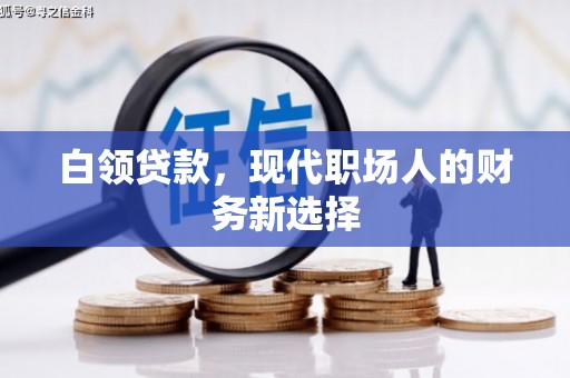 大林白领贷款，现代职场人的财务新选择