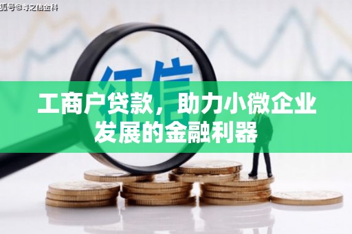 大林工商户贷款，助力小微企业发展的金融利器